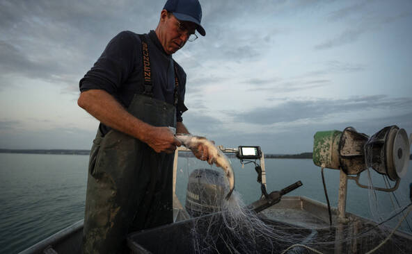Les pêcheurs créent la marque « Poisson sauvage suisse »