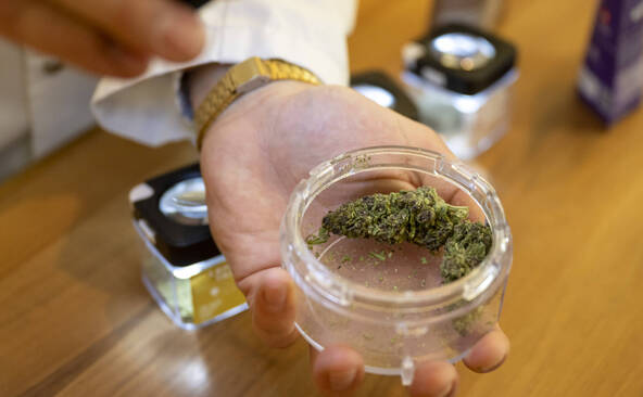 La distribution de cannabis dans les pharmacies réduit les risques