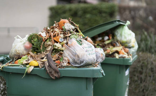 Semaine d'actions participatives contre le gaspillage alimentaire