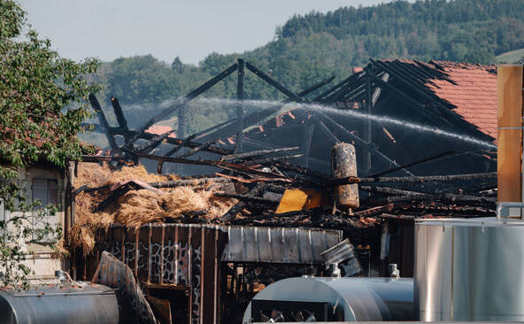 Environ 250 bovins périssent dans un incendie à Palézieux