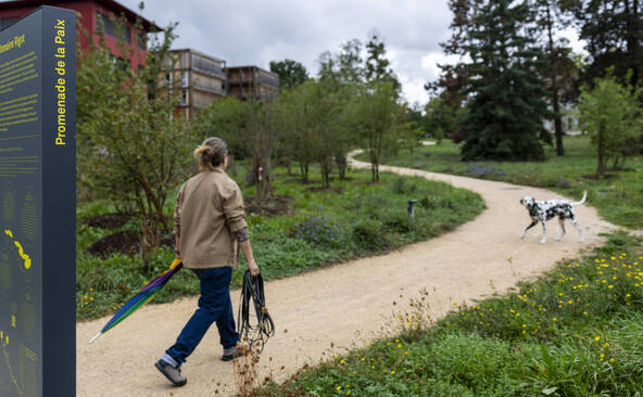 Une nouvelle « promenade de la paix » dans la Genève internationale