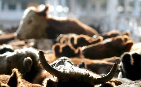 Le Conseil des Etats entre en matière sur l'accord avec le Mercosur