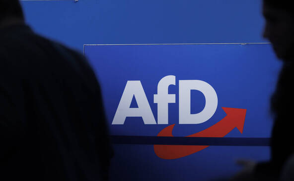 Régionales en Allemagne : l'AfD à nouveau en forte progression