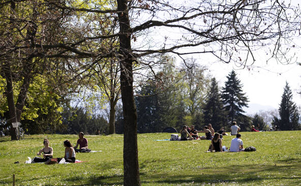 Cours de français dans les parcs publics en été: toujours du monde