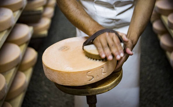Un fromage à raclette vieux de 142 ans sous la loupe