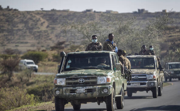 Nord de l'Ethiopie: 272 rebelles tués, selon l'armée fédérale