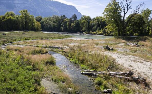 Le Foron est renaturé pour protéger Genève des crues de l'Arve