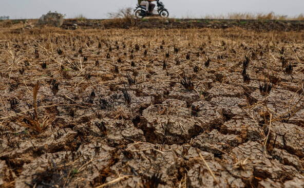 Europe: stress thermique record lors de cet été, le plus chaud
