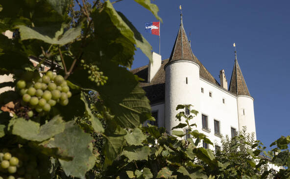 La Journée des Châteaux Suisses, un voyage à travers le temps
