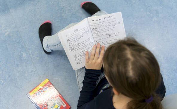 Langues au primaire: partis et cantons divisés sur la réforme