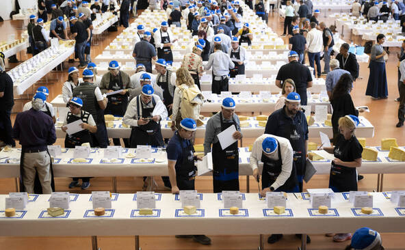 Début des Swiss Cheese Awards 2026 à Fribourg pour six jours
