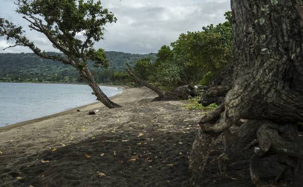 Séisme de magnitude 7,2 au large du Vanuatu, alerte au tsunami