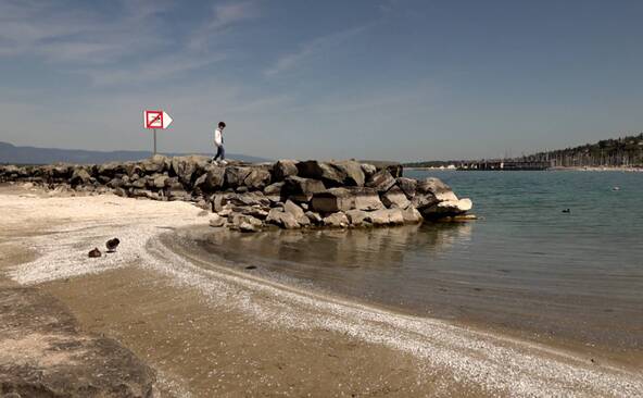 Lac Léman: une eau limpide, mais des menaces invisibles
