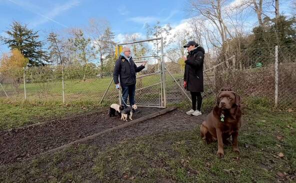 Une pétition pour séparer les petits chiens des gros dans les parcs dédiés