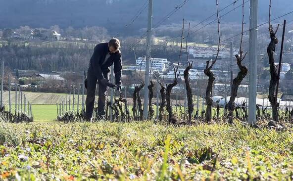 L'agriculture genevoise en souffrance