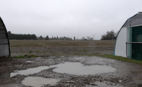 Genève vit l’un des février les plus humides depuis 1864