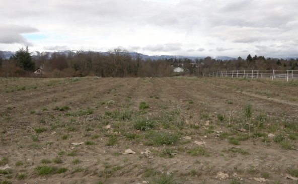 Cherpines: Confignon face au grand saut urbain