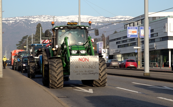 Des vignerons genevois manifestent en tracteur sur les routes
