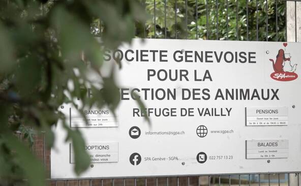 La SPA Genève placée sous tutelle pendant six mois