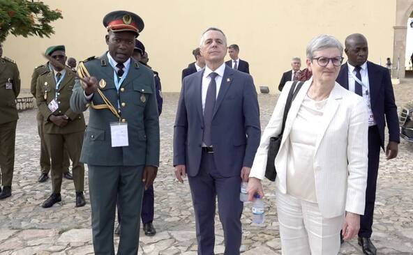 Cassis en Afrique: un voyage au pas de charge