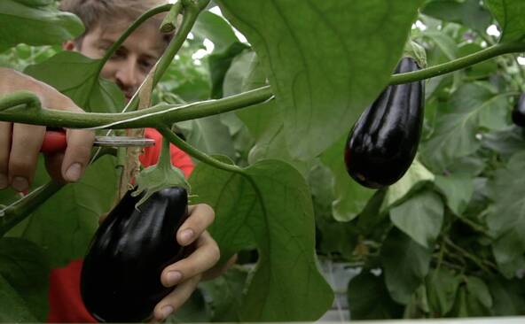 Des abris PC pour loger les ouvriers agricoles frontaliers durant le sommet