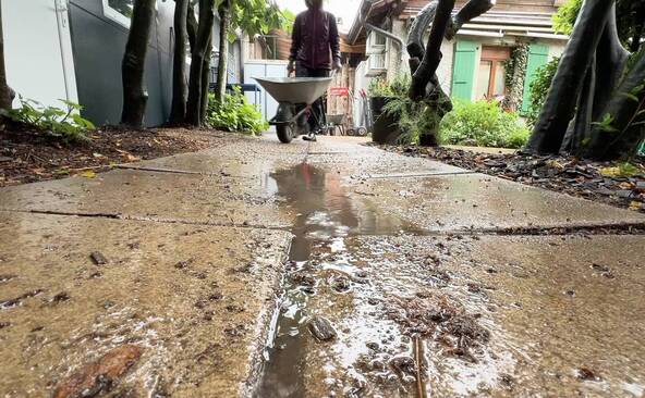Le Bioparc n'est plus étanche en cas d'orage