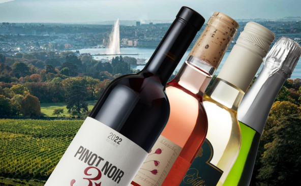 Quels sont les meilleurs vins de Genève en 2026?
