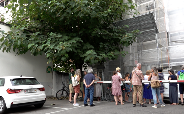 La mobilisation des habitants suspend l'abattage d'un arbre aux Pâquis