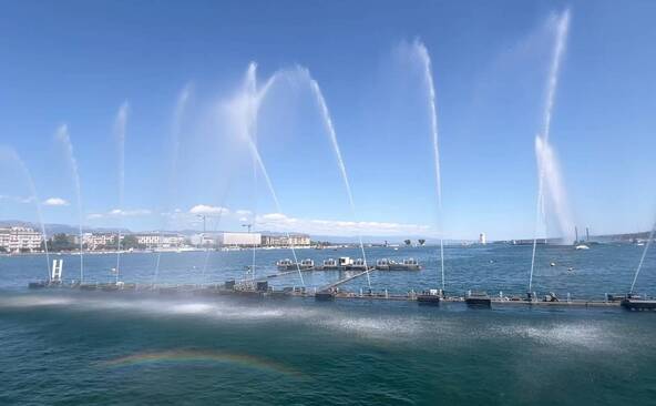 Spectacles aquatiques et animations au Jardin anglais de Genève