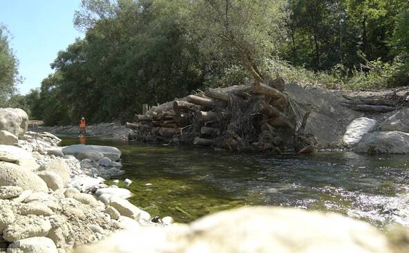 Des refuges dans l’Allondon pour sauver les truites et les ombres