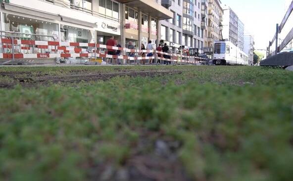 Rue de Carouge: le système d’indemnisation contesté