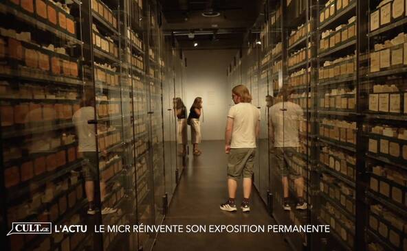 Dans les coulisses de l'avenir du Musée de la Croix-Rouge à Genève