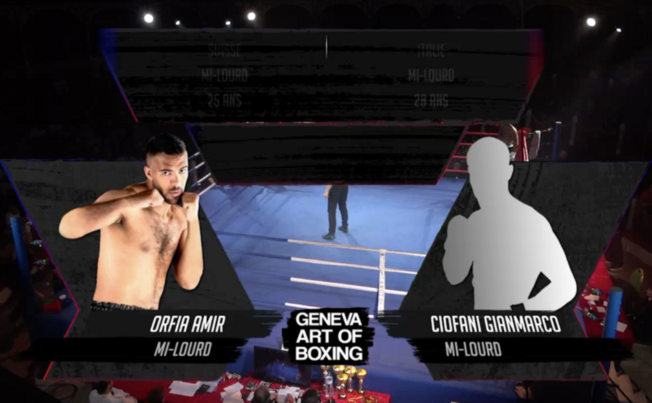 Art Of Boxing Magazine