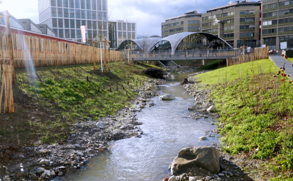 Genève Grandeur Nature