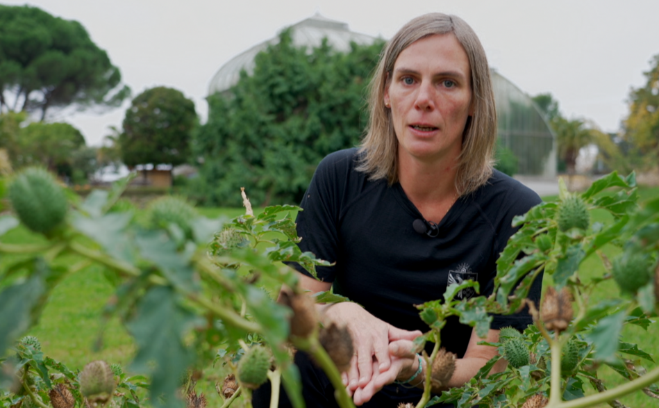 Genève Grandeur Nature