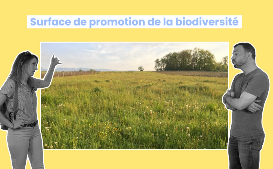 Attends j’t’explique